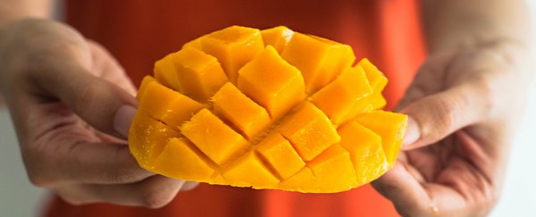 It might sound fun, but a 'fruitarian' diet is actually pretty bad for you