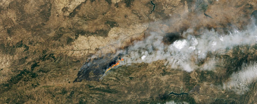 Even When Wildfires Are Far Away, The Smoke Can Still Hurt Your Health. Here's How