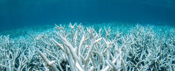95% of Earth's ocean surface is on track to change for the worse if we don't act now