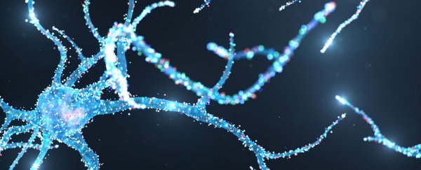 These synthetic neurons use ions to hold onto 'memories', just like our brains do