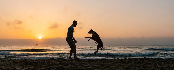 Animal expert shares 5 things that will help your dog live a longer, healthier life