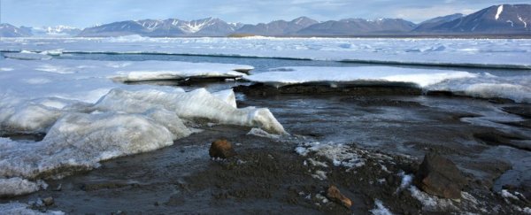 World's northernmost island was just discovered but it may not be on the map for long