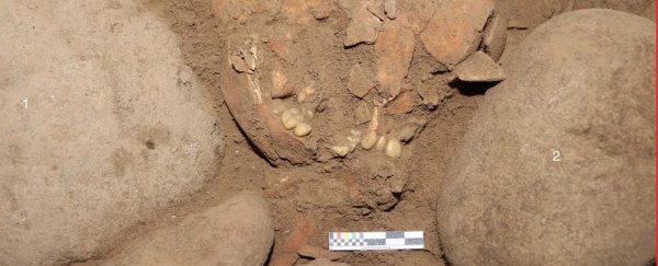7,200-year-old human DNA with unique Denisovan ancestry has been found in Indonesia