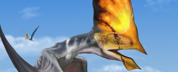 Police raid in Brazil saves the most detailed pterosaur fossil discovered to date