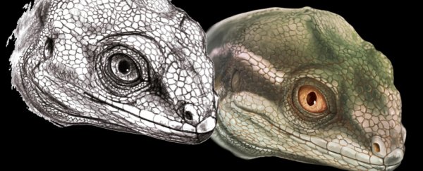 Scientists find fossilized ancestor of all scaled reptiles, and it's absolutely tiny
