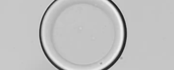 Wild Experiment Coaxes Liquids Into Amazing Square And Hexagonal Shapes