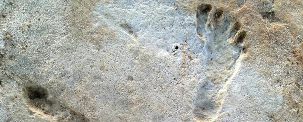 Incredible fossil footprints are the earliest known trace of humans in North America
