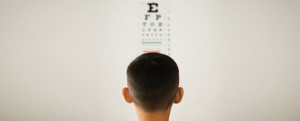 Landmark vision experiment in kids reveals what we should have seen all along