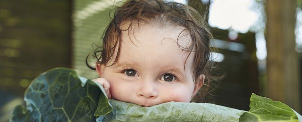 A landmark autism intervention study has shown dramatically reduced diagnosis rates
