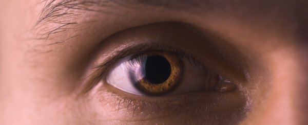 Man can change his pupil size on demand, something scientists thought was impossible