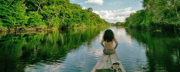 Ambitious plan to protect 80% of the Amazon could save it for future generations