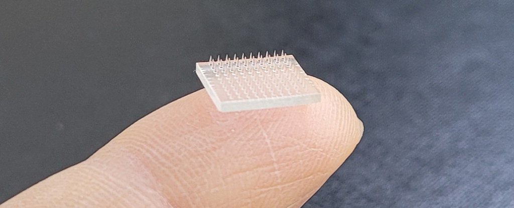 This Tiny 'Vaccine Patch' Could Prompt Stronger Immune Response Than a Needle