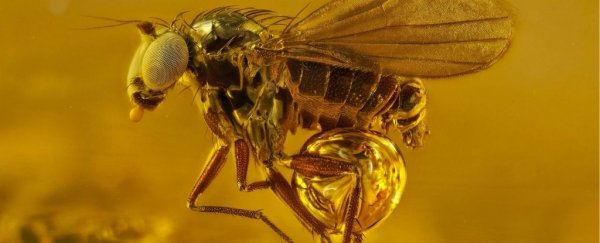 Amazing New Photos Give A Stunning Glimpse Into The Hidden World of Tiny Things
