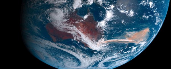 Gigantic plankton bloom larger than Australia spawned by intense bushfire blazes