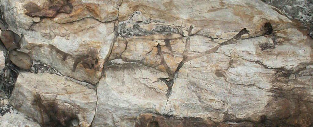 These Mysterious Animal Burrows Seem to Pre-Date Animals. We Finally Know How