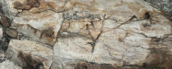 These mysterious animal burrows seem to pre-date animals. We finally know how