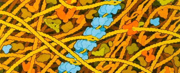 Scientists Watch Bacteria Fix Broken DNA in Real Time to See Exactly How It's Done