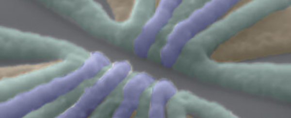 For the first time, scientists have entangled three qubits on silicon