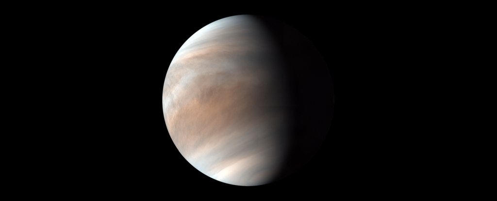 A New Paper Claims Photosynthesis Could Be Possible in The Clouds of Venus