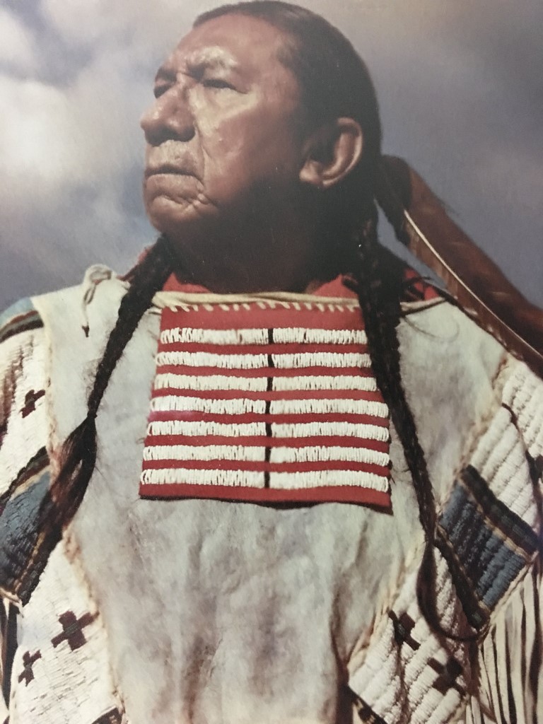 Proud Native American man in traditional dress looking into the distance