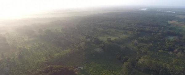 Hundreds of ancient Maya sites hidden under Mexico reveal a mysterious blueprint