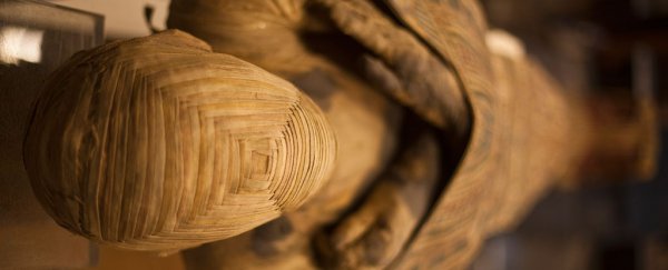 Analysis of mummy may completely rewrite the history of ancient Egyptian mummification