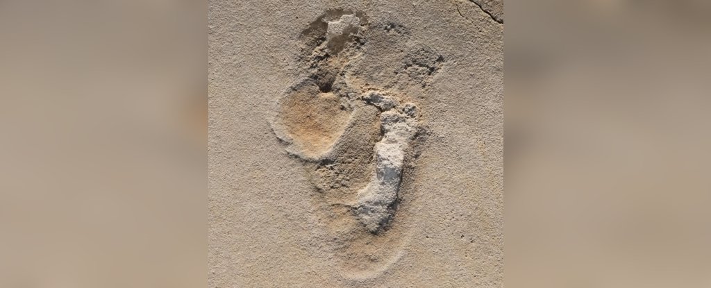 Ancient Tracks May Be The Oldest Hominin Footprints Ever Found, Scientists Say