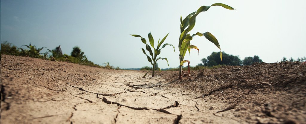 A Recurring Weather Phenomenon Drives Nearly 6 Million Children Into Severe Hung..