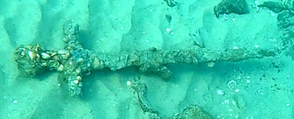 900-Year-Old Crusader Sword Found Covered in Barnacles Off Israel Coast