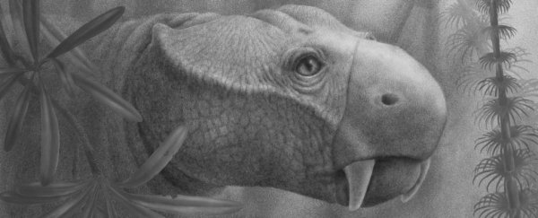 Scientists traced the weird origins of tusks to find out where they came from