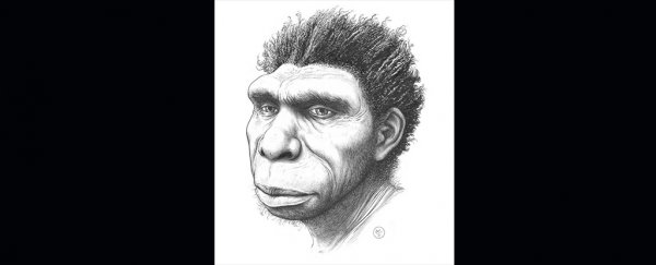 The direct ancestor to modern humans just got a new name, and for a good reason