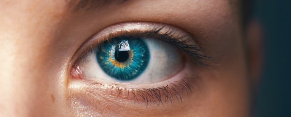 The pupil in your eye can perceive numerical information, not just light
