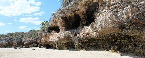 Satellite data shows even small ancient gatherer communities shaped the landscape