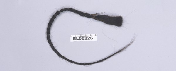 Newly developed DNA technique confirms identity of Sitting Bull's great-grandson