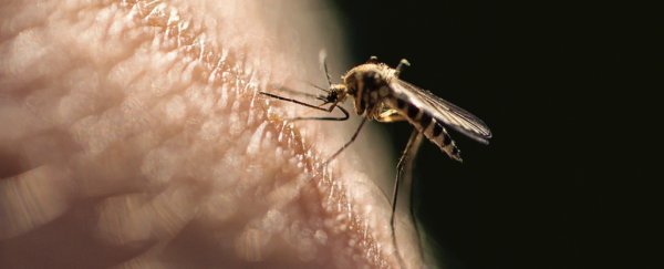 World's first malaria vaccine approved in major breakthrough against deadly infection
