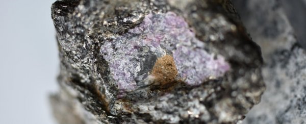 For the first time ever, evidence of ancient life was discovered inside a ruby