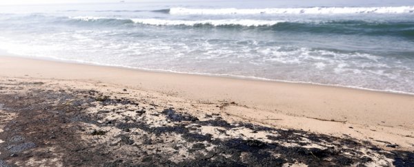 Giant, catastrophic oil spill in California ranks as one of the worst in decades
