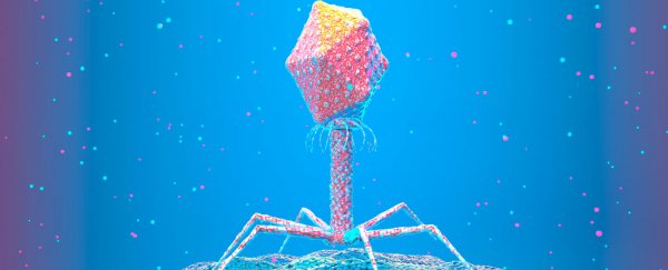 There is at least one type of virus we should be very thankful for