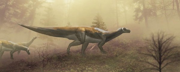 This fearsome 'carnivorous raptor' turned out to be not quite what we thought