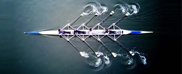 Neuroscientists claim to have pinpointed the brain states unique to 'team flow'
