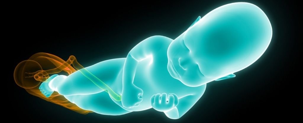 Human Birth Canals Are Seriously Twisted. Researchers Think They've Figured Out Why