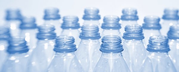 Widely used chemical linked to 100,000 American deaths every year, study finds