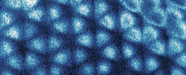 Elusive 'electron crystal' phenomenon directly imaged for first time ever