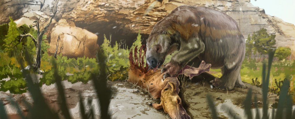 Esta gigantesca pereza ancestral tenía un complemento inesperado en su dieta Esta gigantesca pereza ancestral tenía un complemento inesperado en su dieta