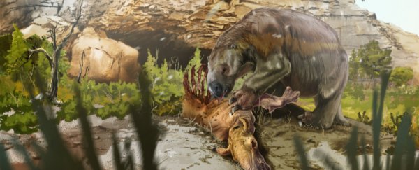 This ancient and ginormous sloth had an unexpected supplement in its diet