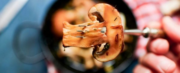 There's something about eating mushrooms that seems to lower depression risk