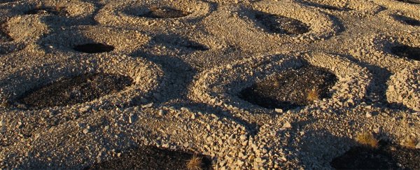 Scientists think they know how these peculiar stone patterns form in frozen landscapes