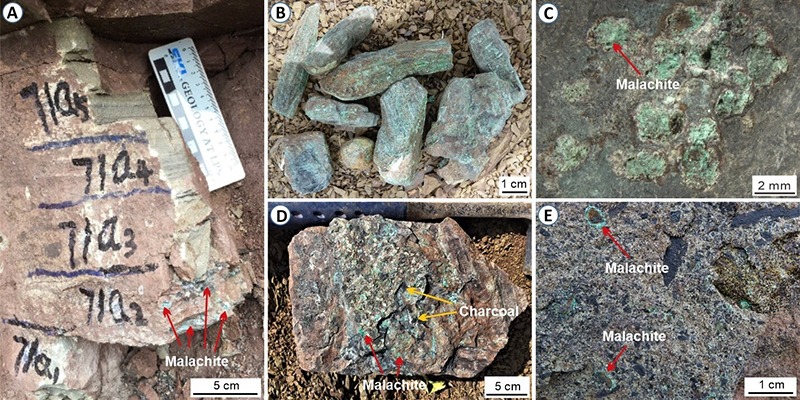 A Mass Extinction 250 Million Years Ago Seems to Have Had Multiple Causes