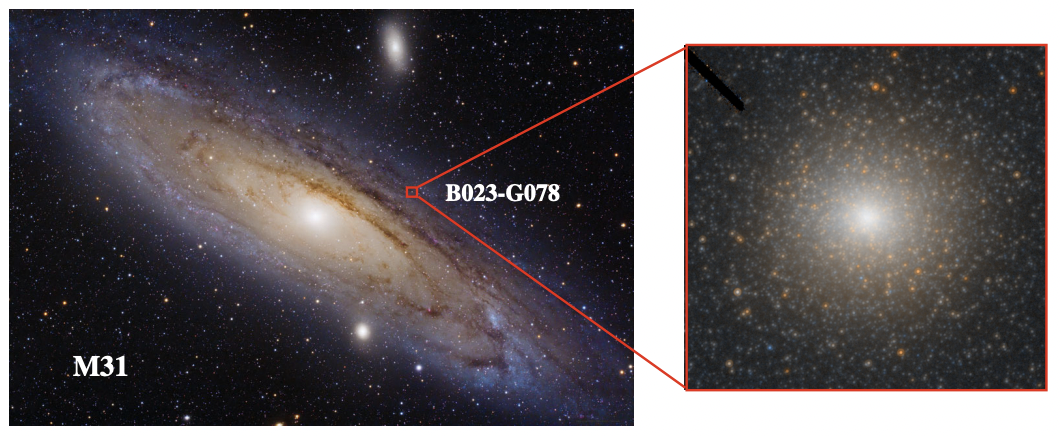 Astronomers Detect Rare 'Missing Link' Black Hole in Our Closest Galactic Neighbor  Screen_Shot_2021-11-19_at_4.15.10_pm