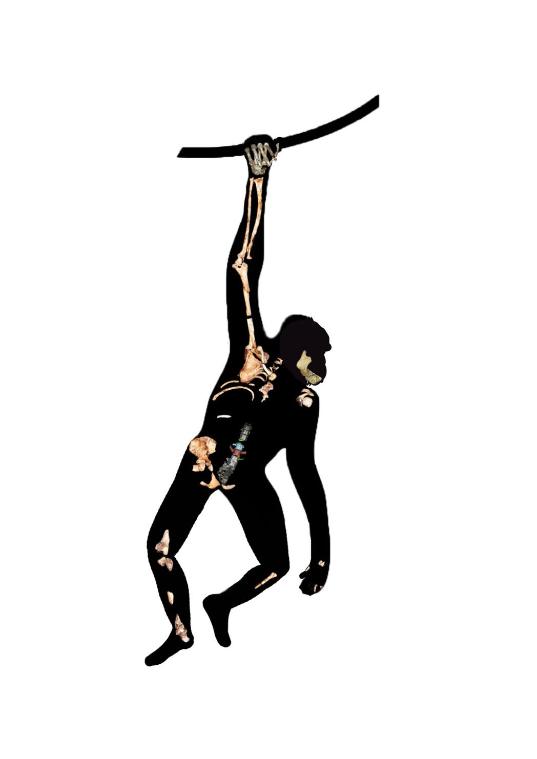 A silhouette of an ape-like figure hanging from a branch